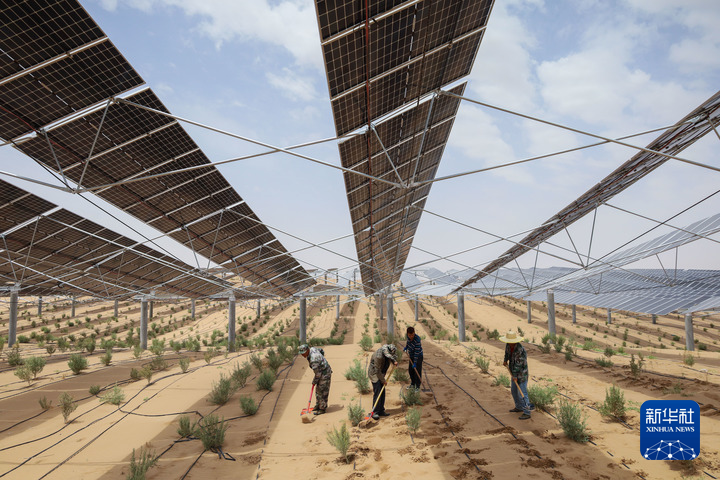 2023年6月1日，工人在武威市凉州区九墩滩光伏治沙示范园区管护喷灌管道。新华社每日电讯记者　马希平　摄