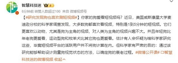 科学家发现狗子也喜欢刷短视频 尤其是狗当主角的视频