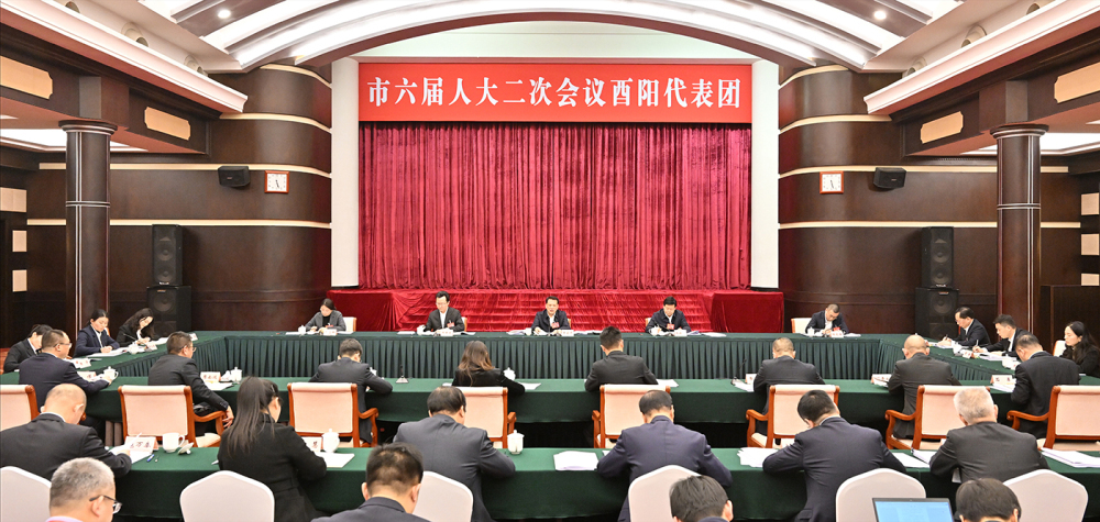 1月21日，市委书记袁家军参加酉阳代表团审议。记者 苏思 摄