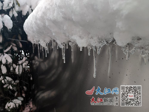 22日，南昌市及其周边为降雪中心之一，树上都结了冰凌。