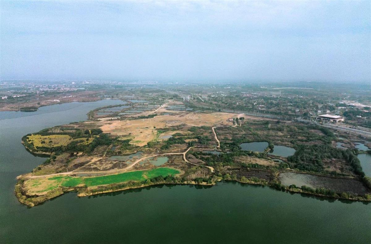 秦家咀墓地全景