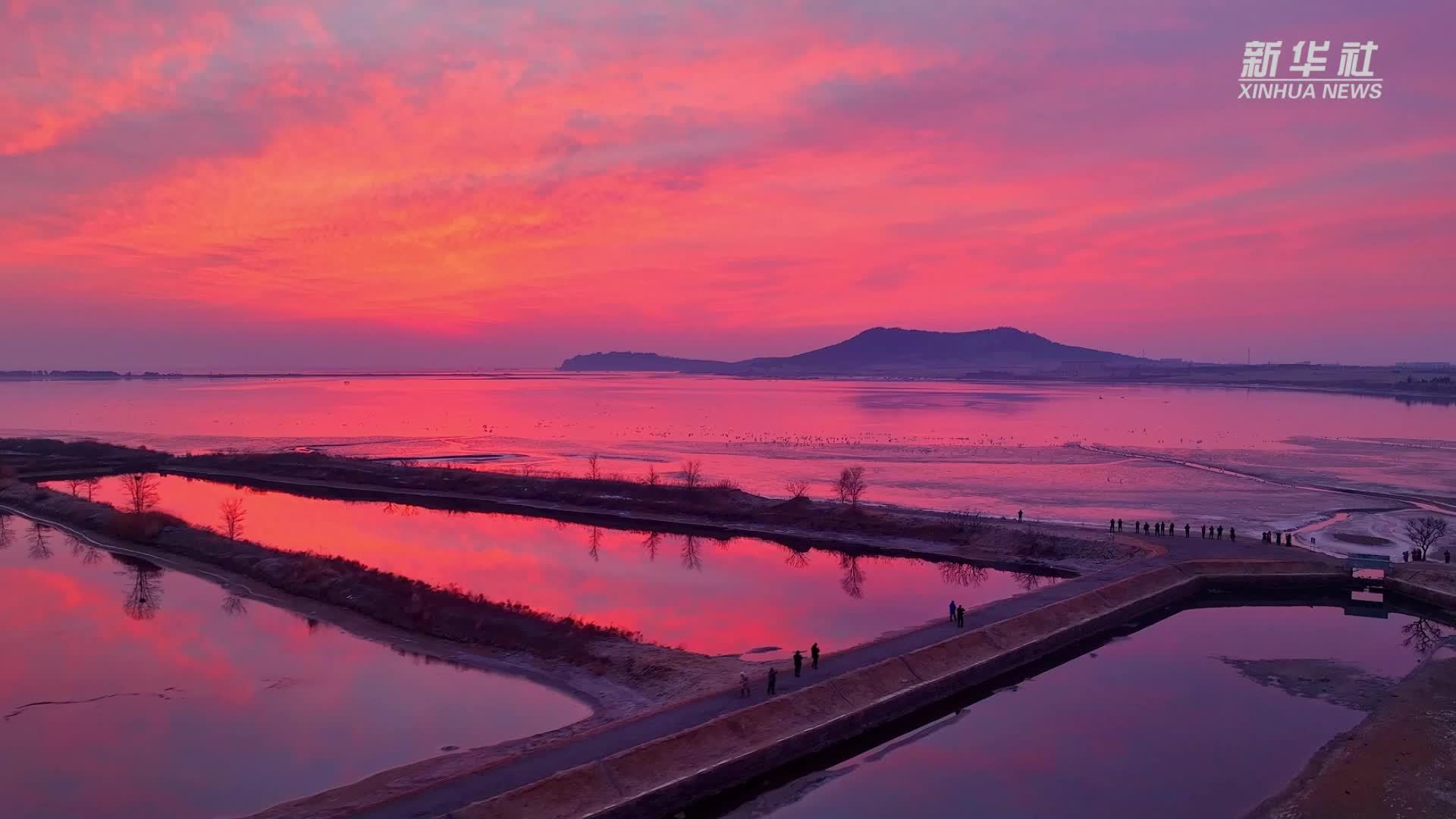 山东荣成：氤氲湿地 冬景如画