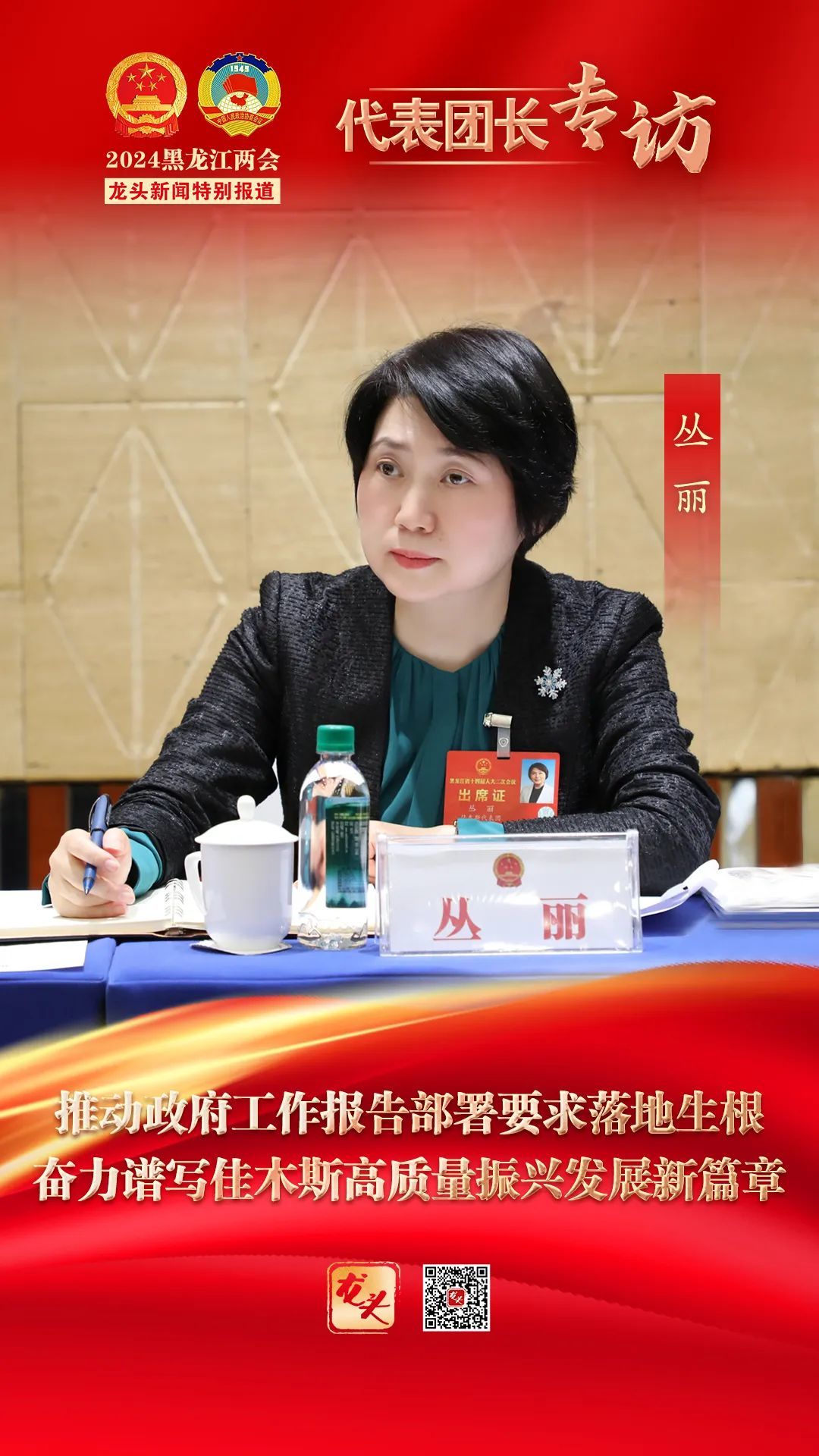 丛丽推动政府工作报告部署要求落地生根奋力谱写佳木斯高质量振兴发展
