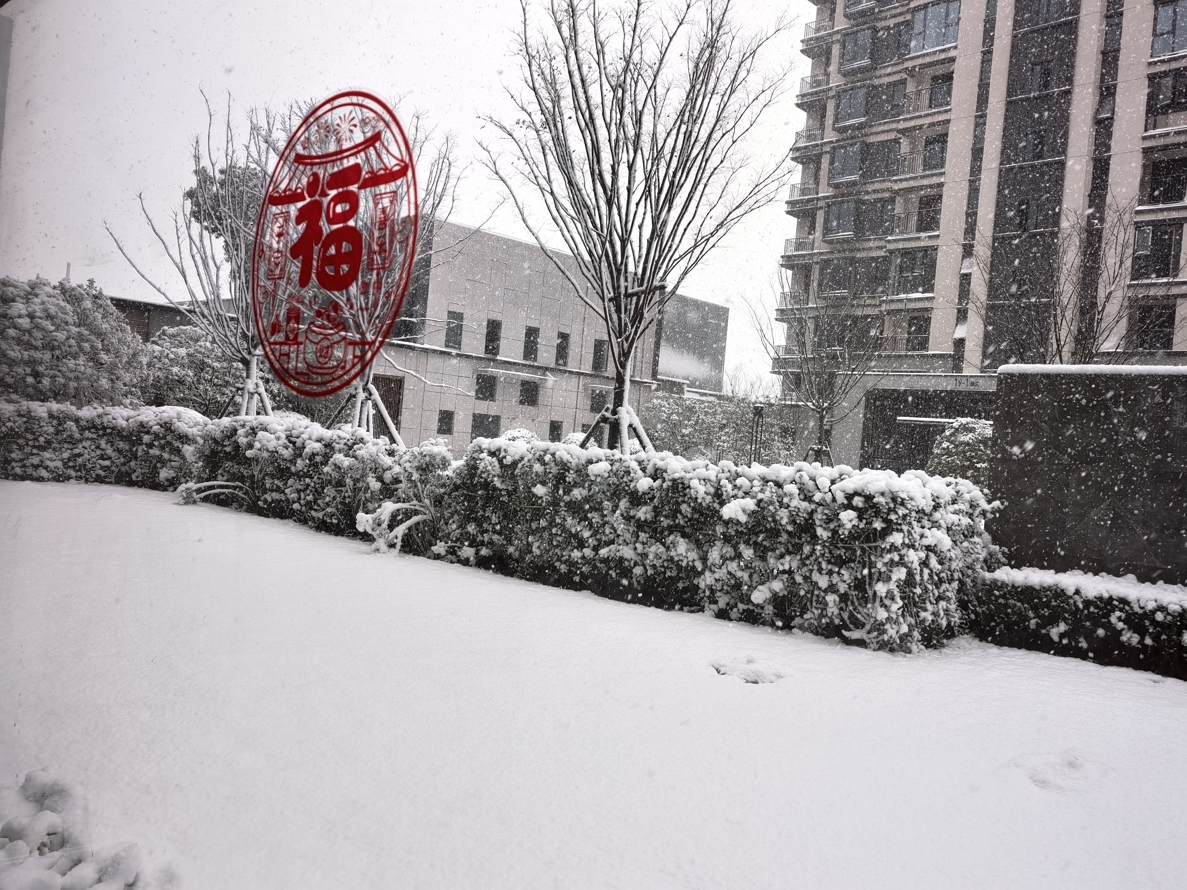 南昌雪景图片