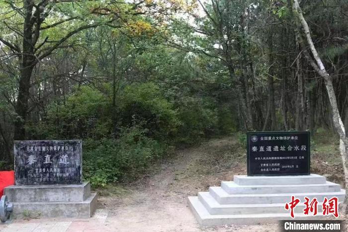 2023年5月，地处甘肃省庆阳市合水县子午岭腹地的世界上最早的“高速公路”秦直道。中国民主促进会甘肃省委员会供图