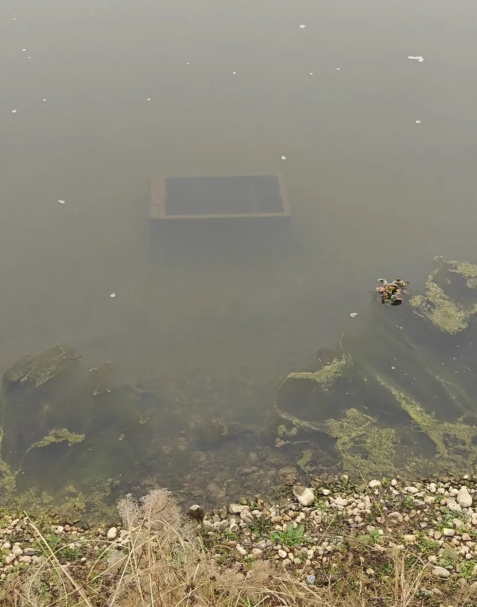 神秘失踪的保险柜出现在河底 乐平居民价值20万的黄金不翼而飞