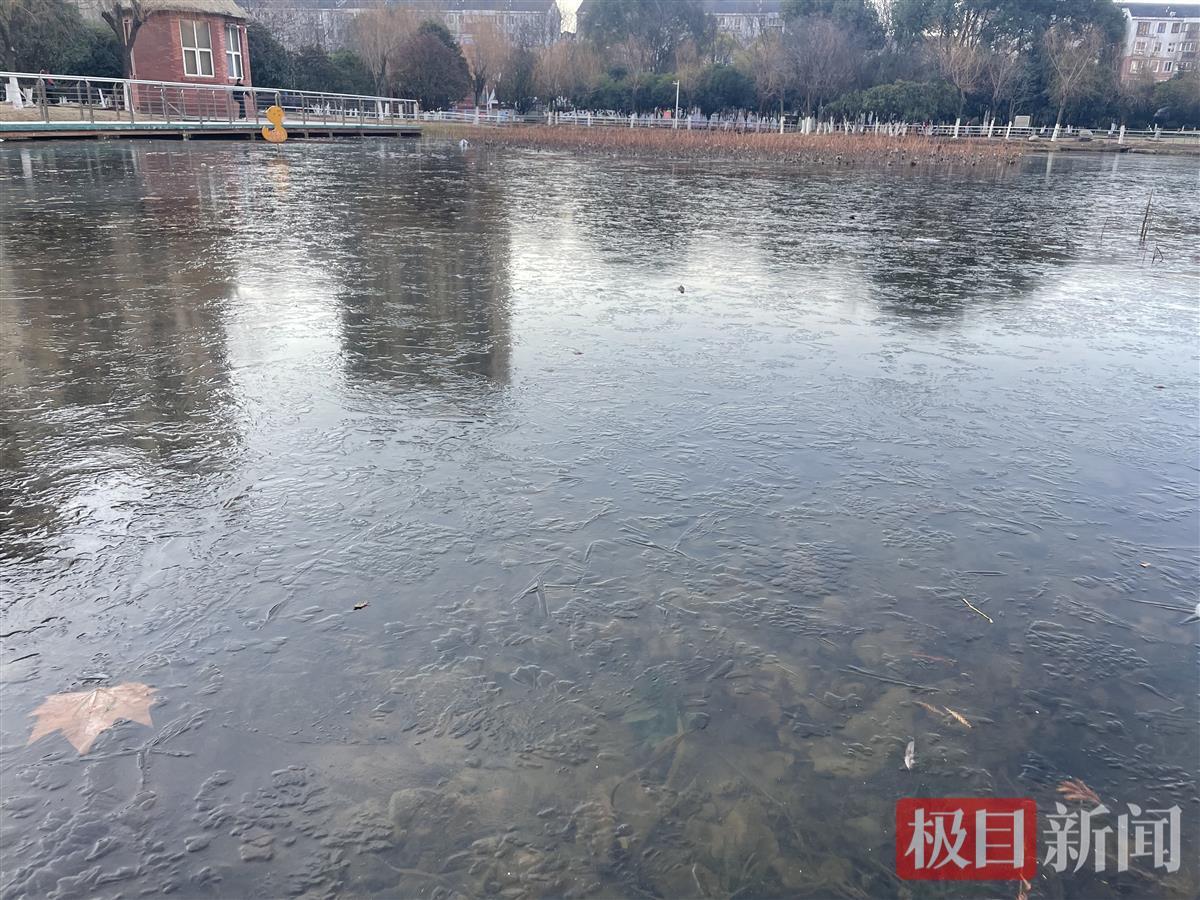 今日武汉关山公园小池塘结冰了