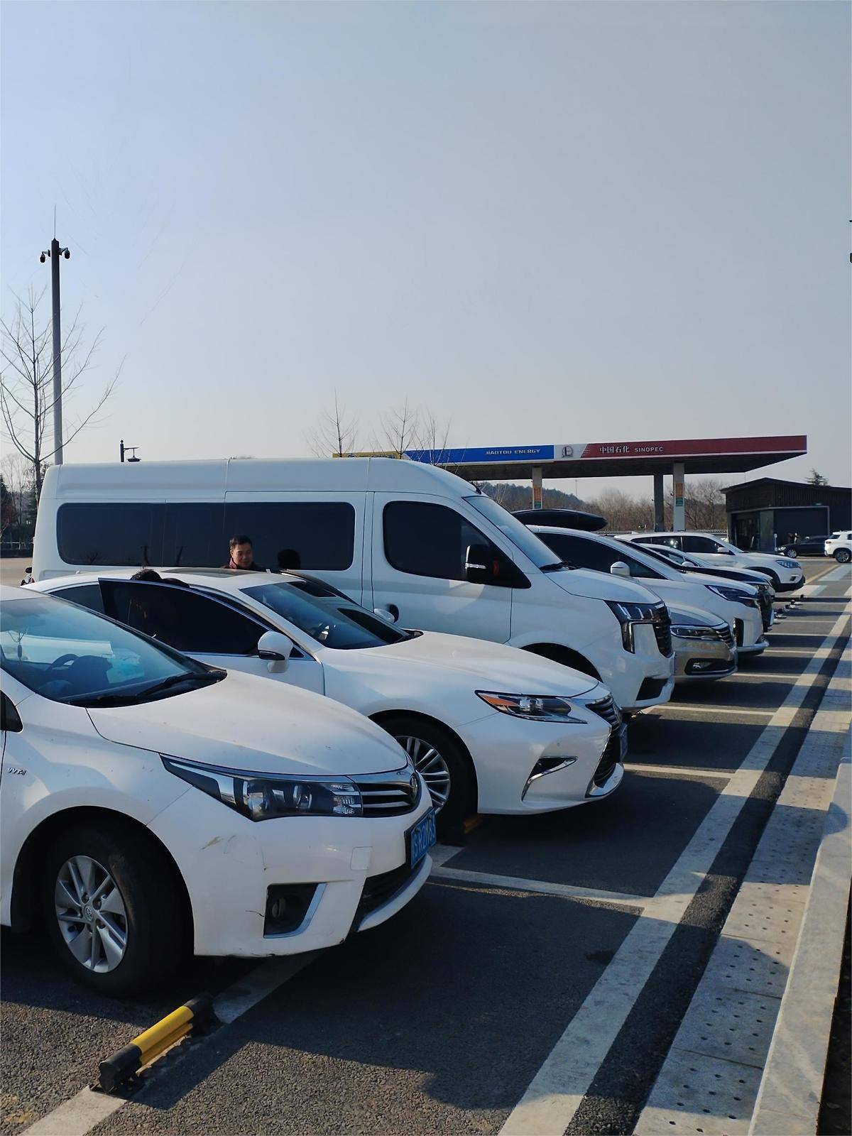 福银高速安陆服务区停满了往来的私家车(湖北日报全媒记者 胡祎 摄)