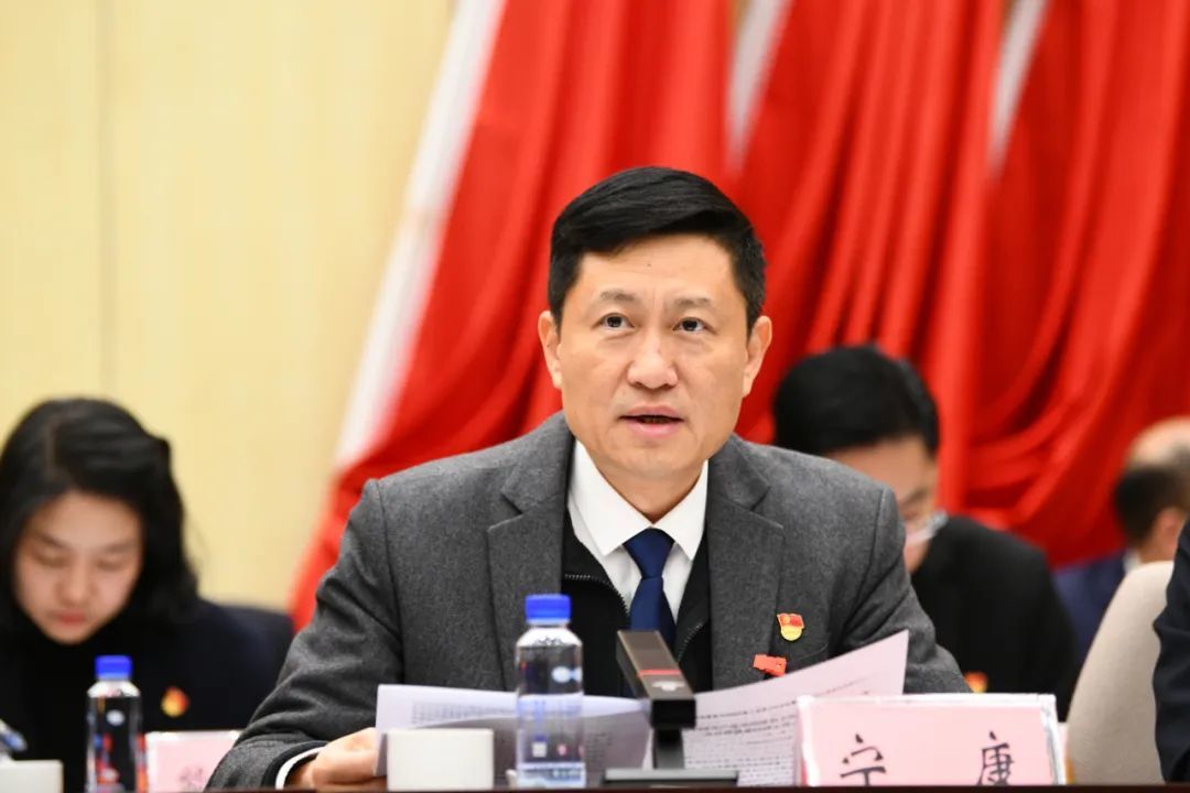 凤岗镇党委副书记、镇长宁康就经济工作作具体部署