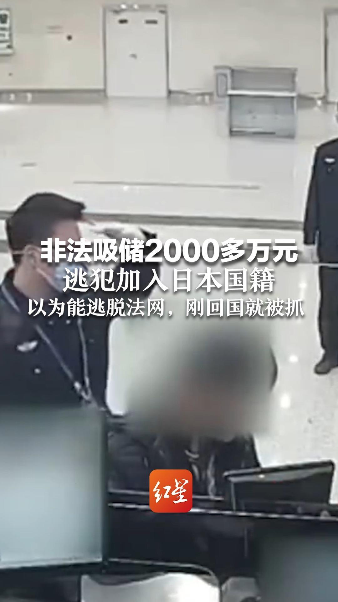 非法吸储2000多万元 逃犯加入日本国籍 以为能逃脱法网，刚回国就被抓