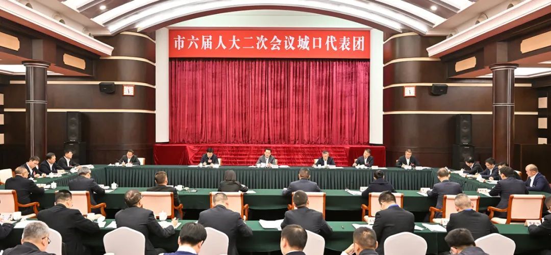 1月22日下午，市委书记袁家军参加城口代表团审议。记者 苏思 摄