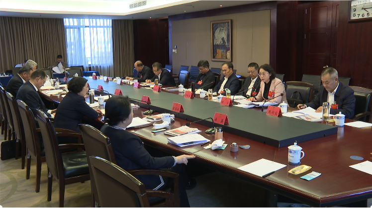 △金昌市省政协委员参加政协甘肃省十三届二次会议分组讨论