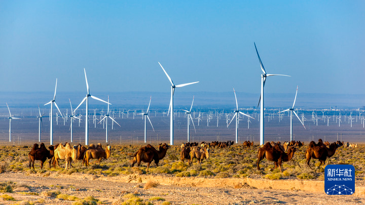 这是位于甘肃省玉门市的一处风力发电场　（玉门市委宣传部提供）