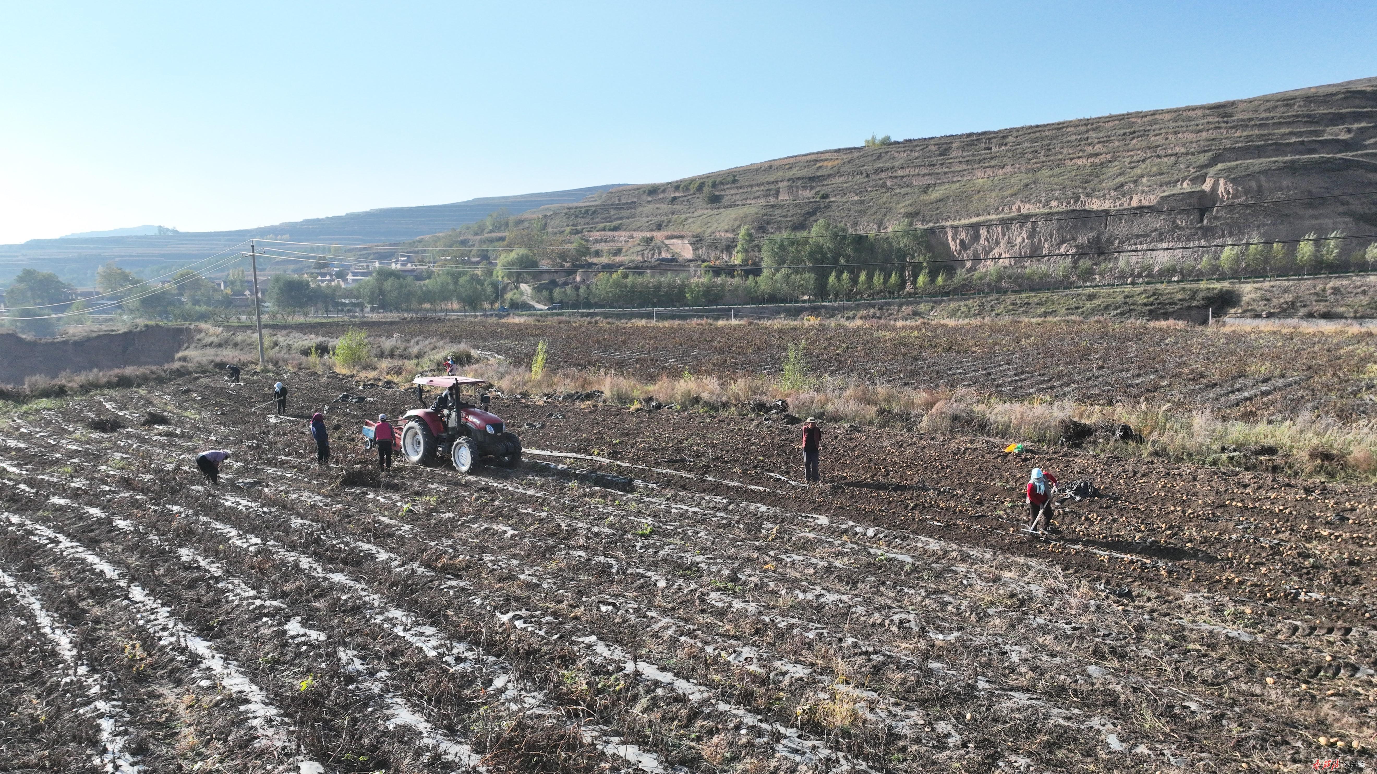 生产生态双赢！庄浪开启绿色种养循环新模式