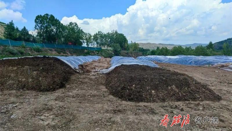 生产生态双赢！庄浪开启绿色种养循环新模式