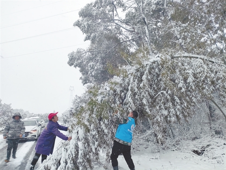 1月22日，樟树市阁山镇道路两旁树枝被积雪压断，导致道路受阻。为方便村民正常通行，镇村干部组织党员群众及时进行清理。通讯员 柳 婷摄