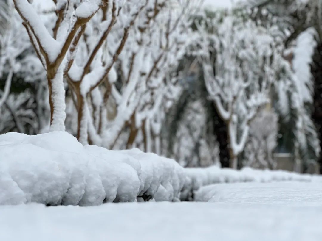 庐山最低气温-12℃！江西的雪还要下几天？