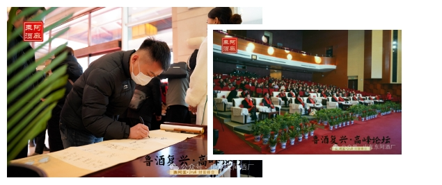 鲁酒复兴高峰论坛暨东阿王·聊酒财富峰会在聊城市隆重举行