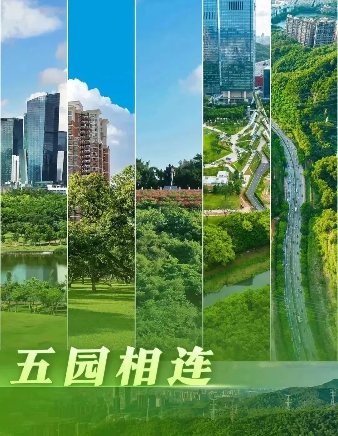 深圳，你有空就能来的城市