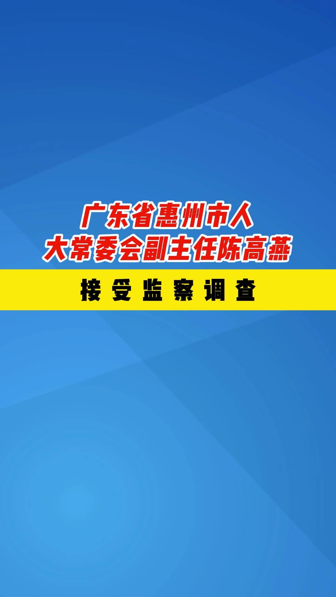 惠州市副市长陈高燕图片