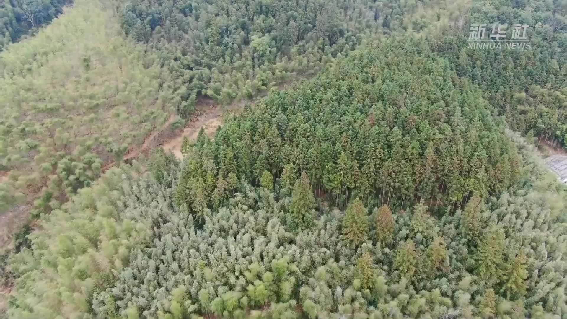 乡村行·看振兴｜福建沙县：建美丽乡村 留美丽乡愁