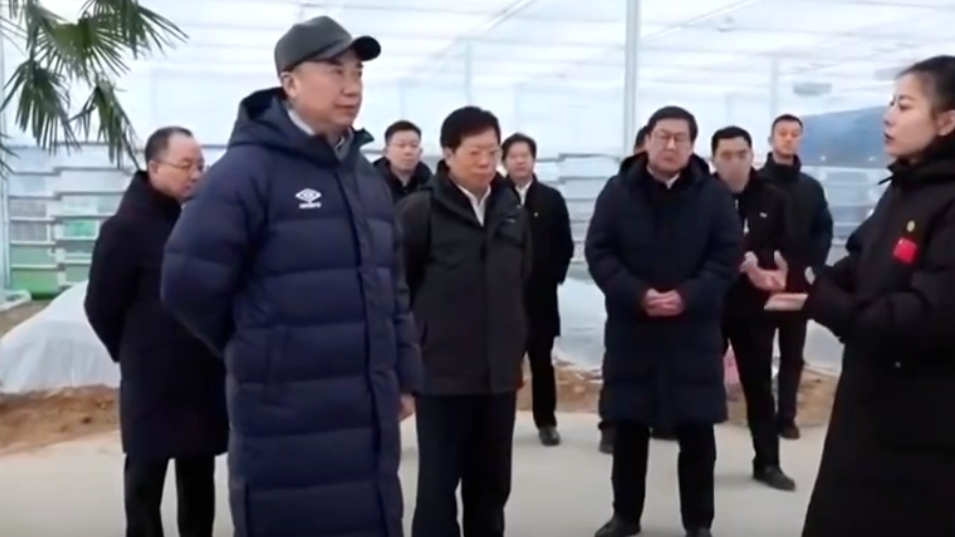 中共中央政治局委员、国务院副总理刘国中在河北调研_凤凰网