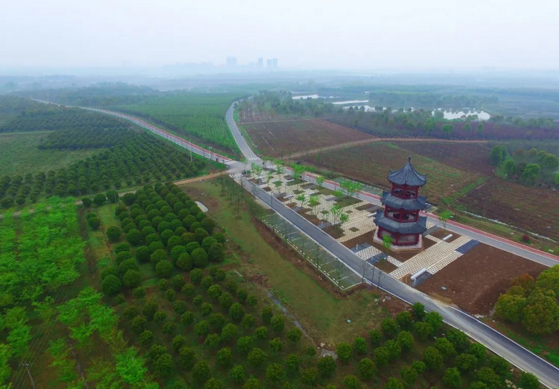 产业园官亭林海实景图