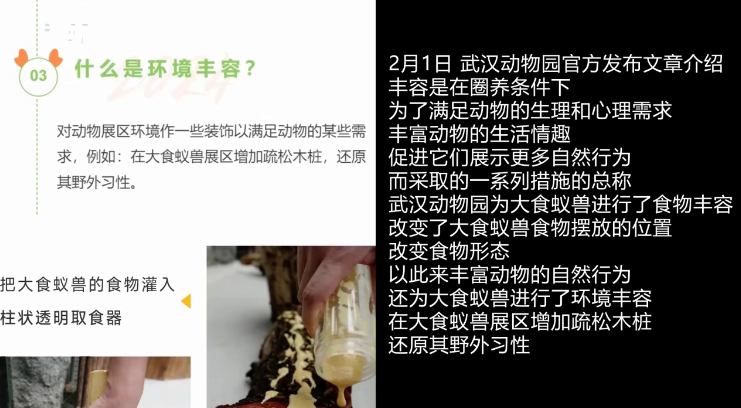 食蚁兽来回转圈游客担忧出现刻板行为 武汉动物园回应