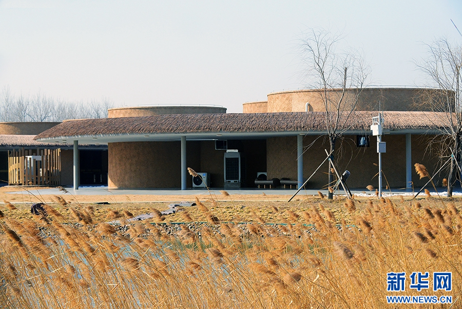 1月25日,河南省漯河市舞阳县贾湖考古遗址公园。