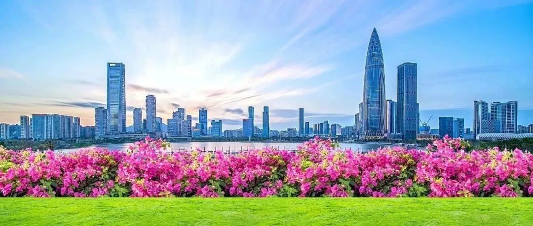 深圳，你有空就能来的城市