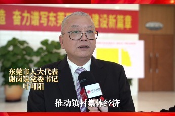 叶可阳：乘“百千万”工程春风 打造造福全民的南面村文旅项目