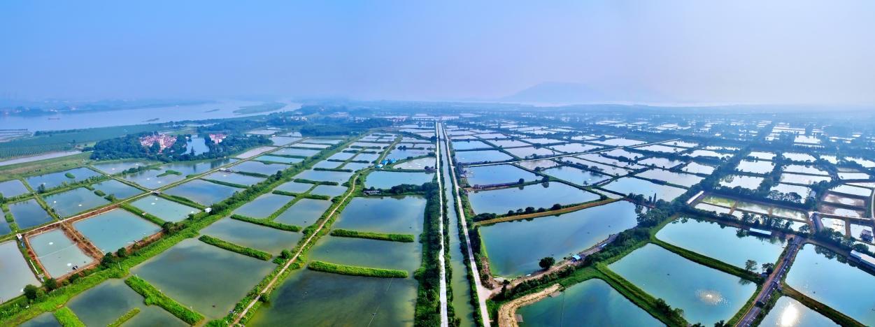 图说:青岐水产 摄影:李东