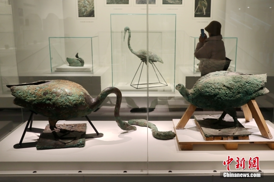 秦始皇帝陵博物院“秦陵苑囿之K0007陪葬坑”展览开幕