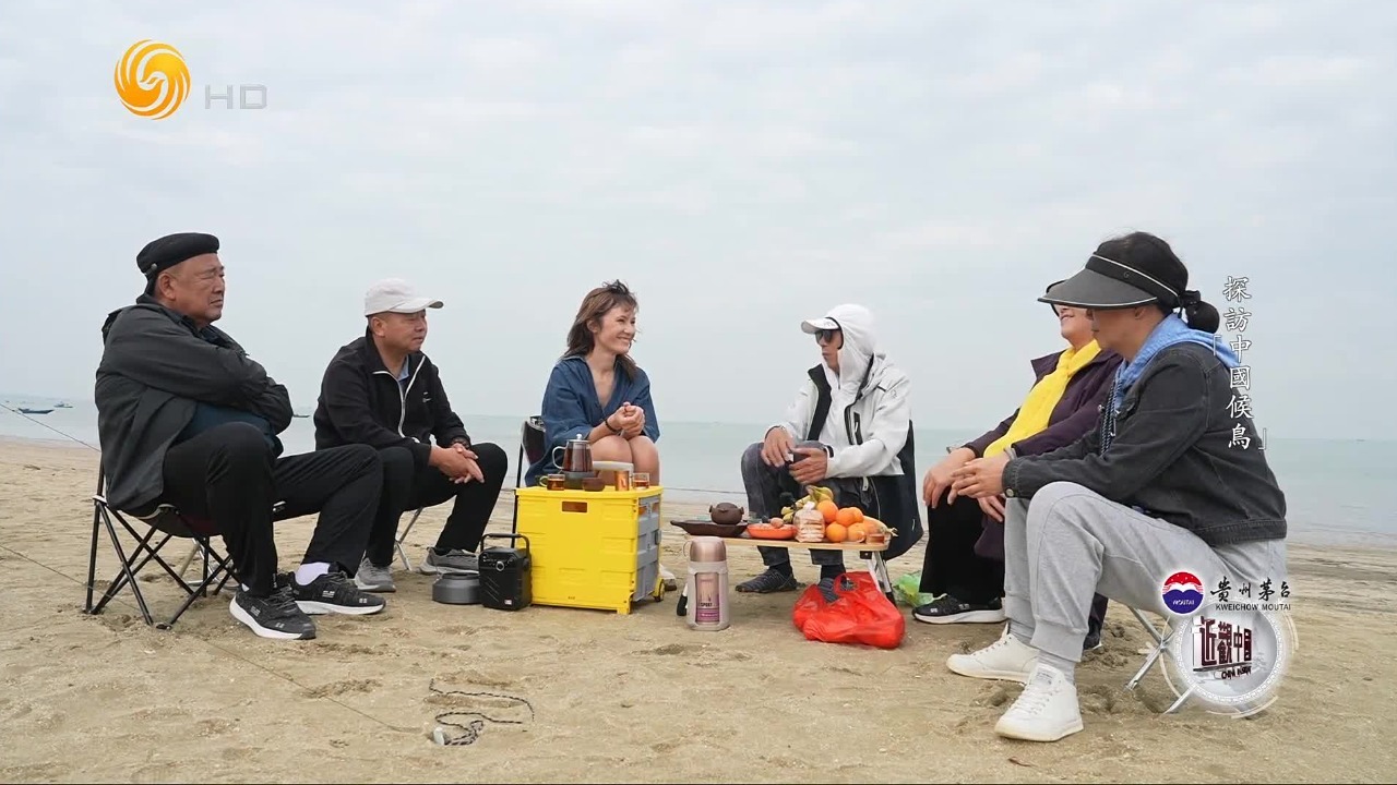 活出好心态！“候鸟”老人乐意尝试不同的生活方式