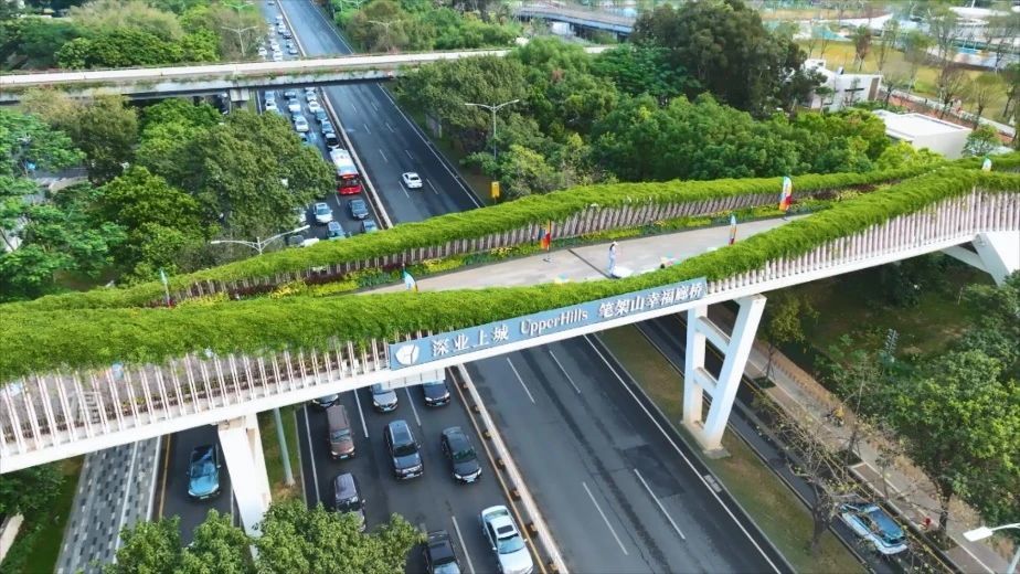 深圳，你有空就能来的城市