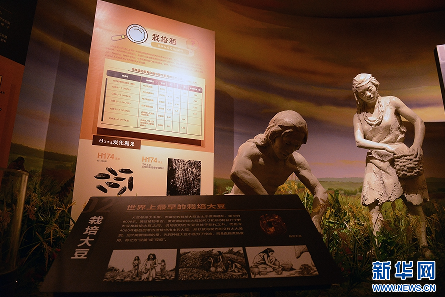 1月25日,河南省漯河市舞阳县贾湖遗址博物馆陈列的展品。