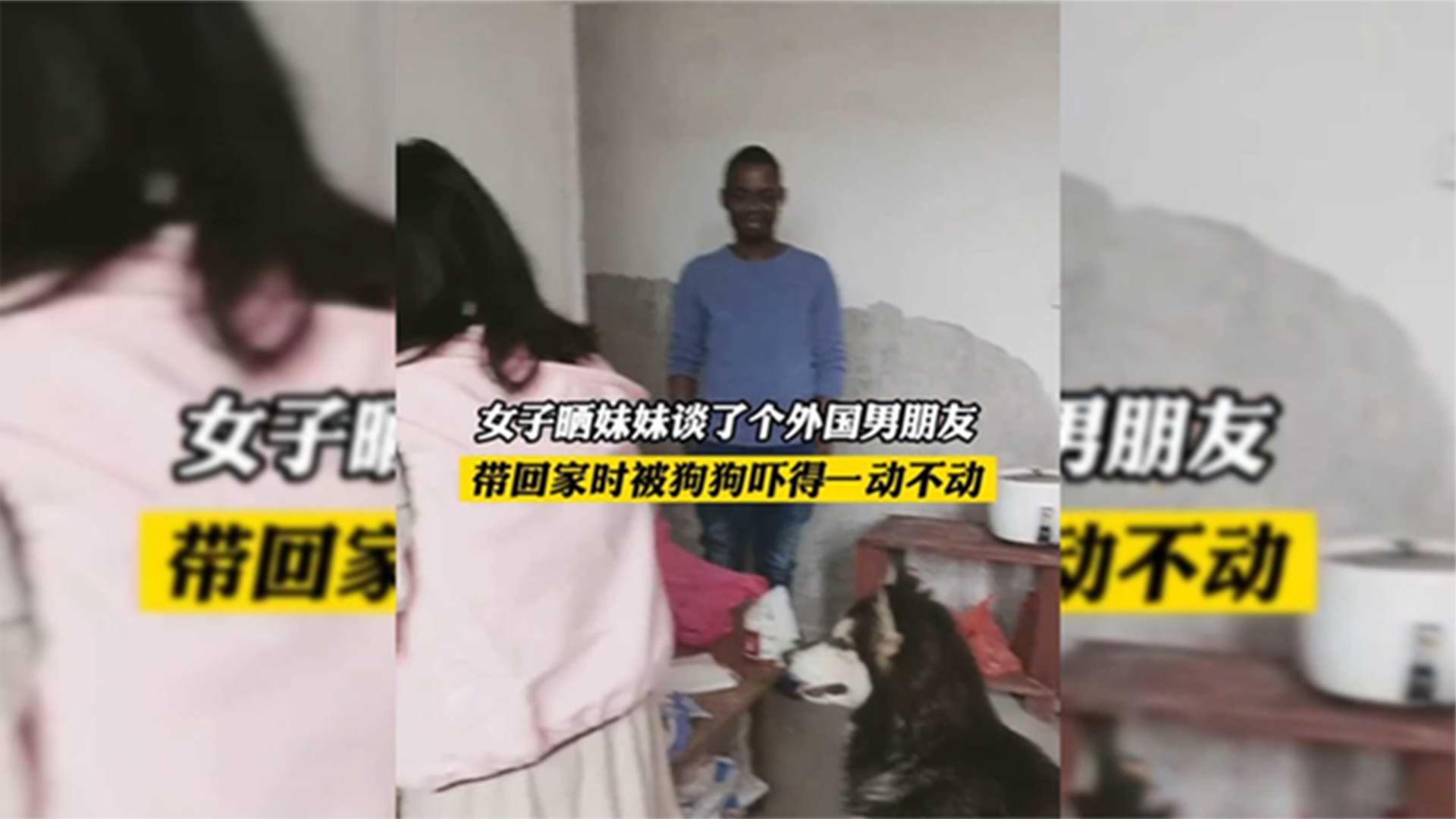 妹妹谈了个外国男朋友，带回家时被狗狗吓得一动不动凤凰网视频凤凰网 8120