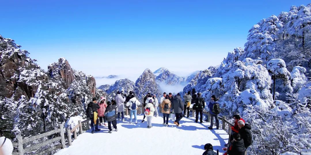 黄山冬雪。凤凰网安徽特约摄影师 蔡季安 摄