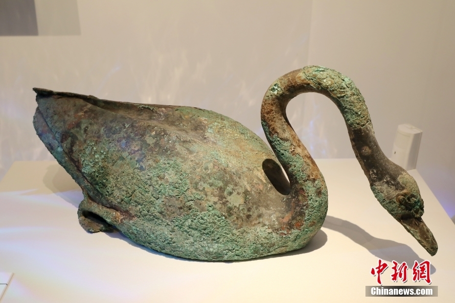 秦始皇帝陵博物院“秦陵苑囿之K0007陪葬坑”展览开幕