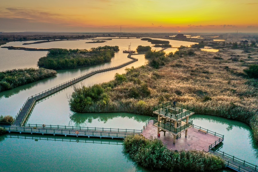 东营市文旅局局长李慧芬：开展系列文旅活动，持续擦亮城市品牌