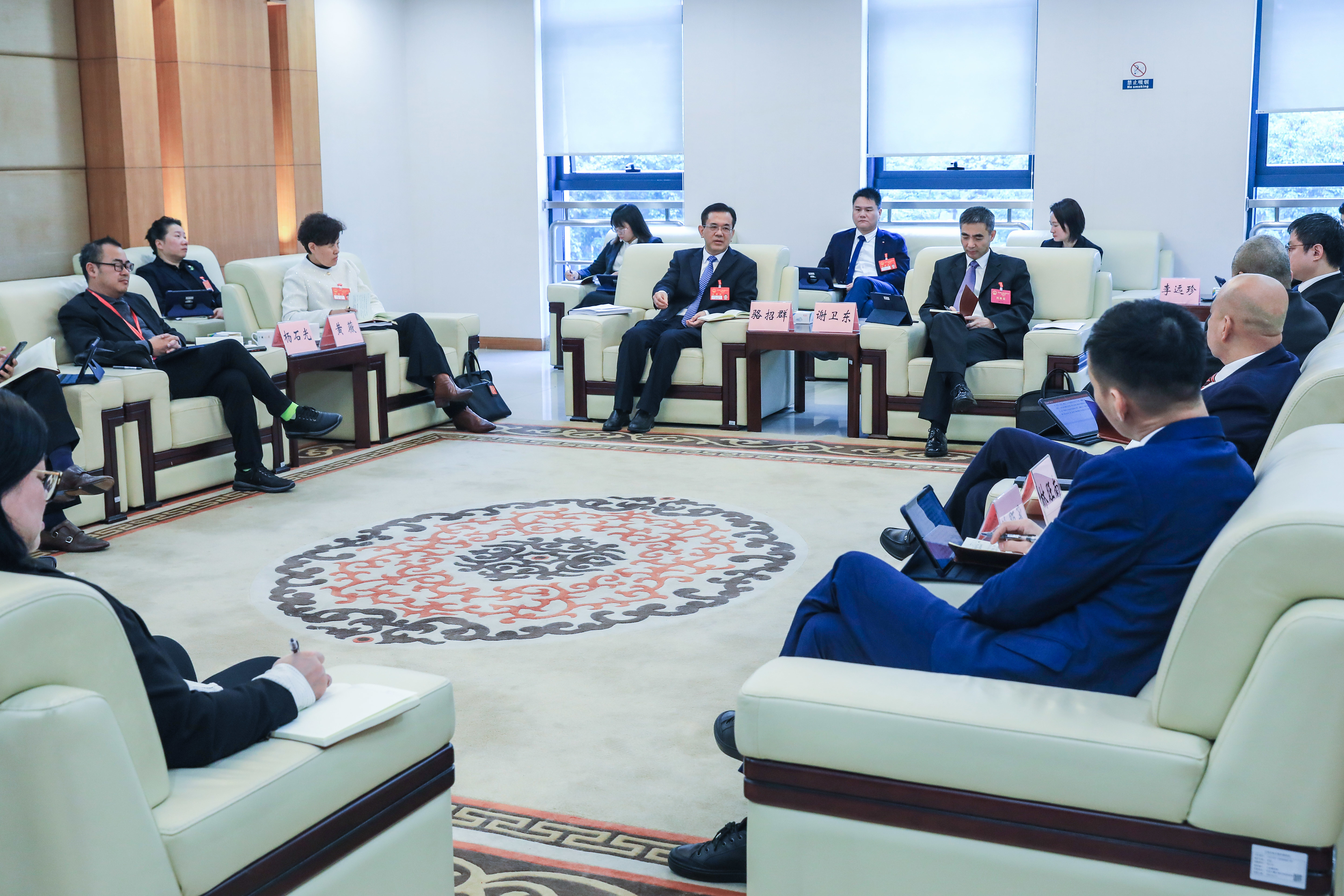 骆招群到市十七届人大四次会议厚街代表团参加分组讨论 合力唱响东莞经济光明论
