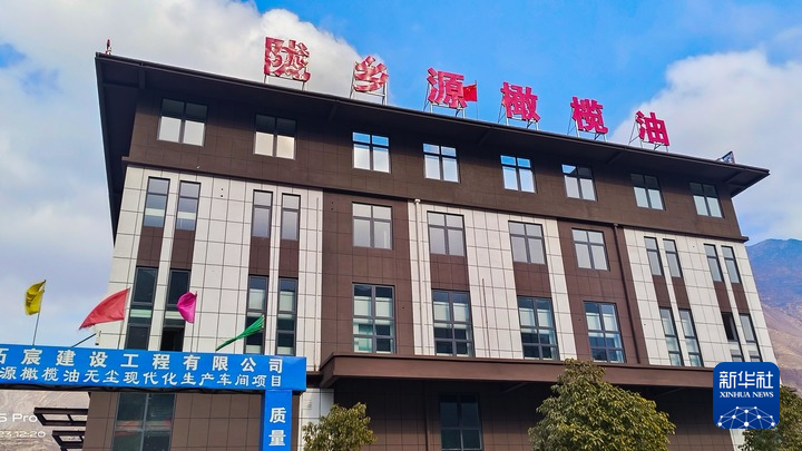 这是位于陇南市武都区的陇乡源橄榄油现代化无尘加工厂（陇南市武都区委宣传部供图）