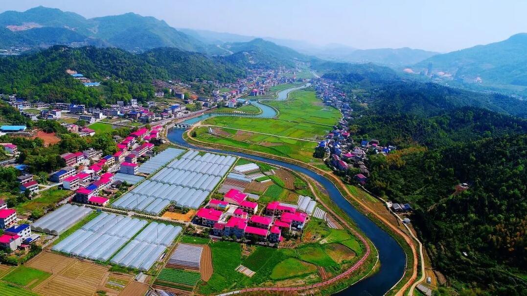 萍乡上栗县:"一村一品"拓宽乡村致富路