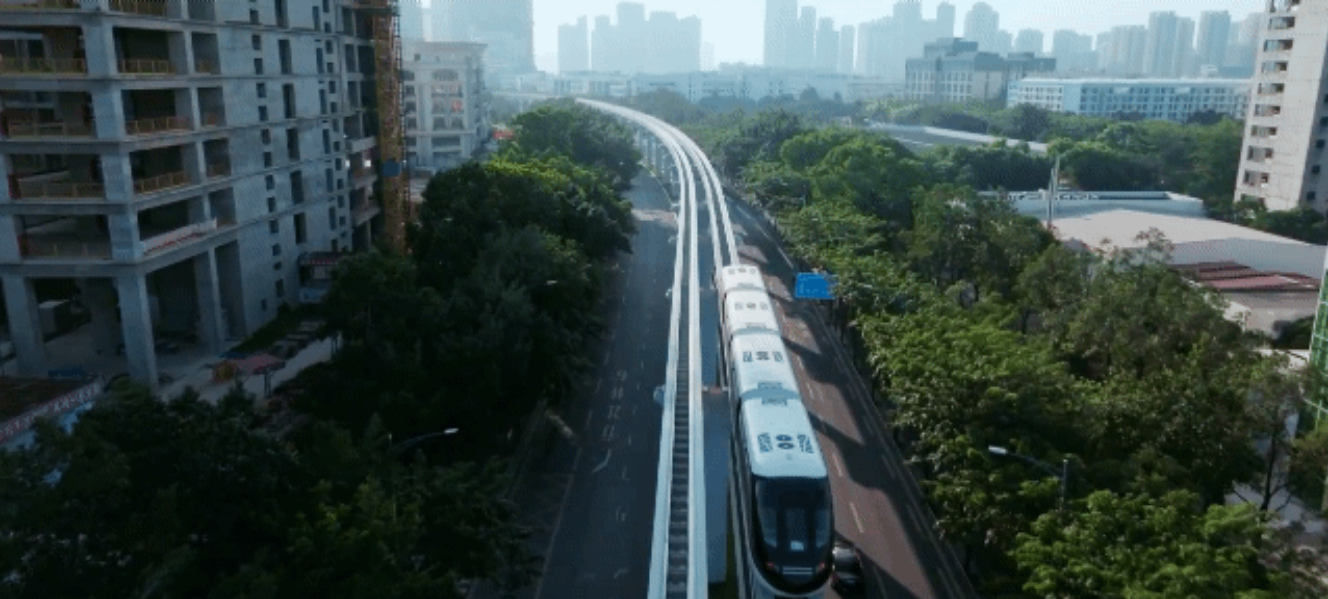 图源：坪山发布