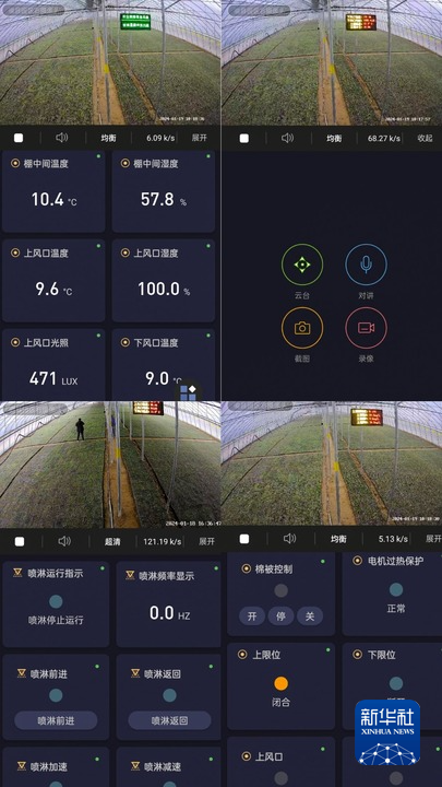 这是甘肃省陇南市徽县陇青智控产业园蔬菜智慧大棚的物联网平台手机客户端截图（陇南市徽县县委宣传部供图）