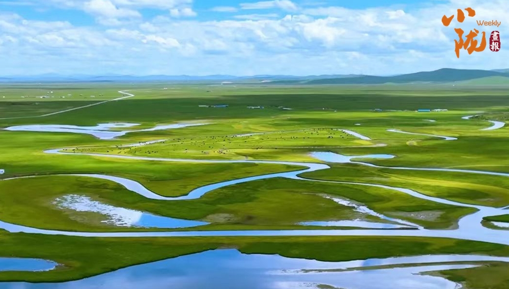 玛曲是甘肃唯一的纯牧业县,草原面积占到全县面积的90%,玛曲草原美在
