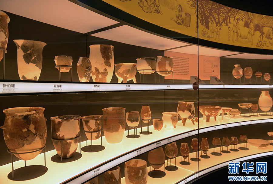 1月25日,河南省漯河市舞阳县贾湖遗址博物馆陈列的展品。