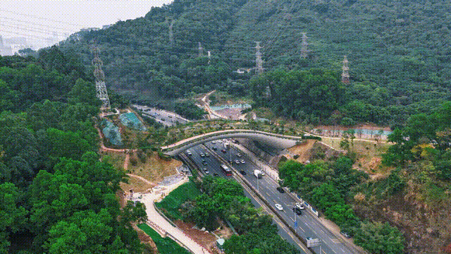 深圳，你有空就能来的城市