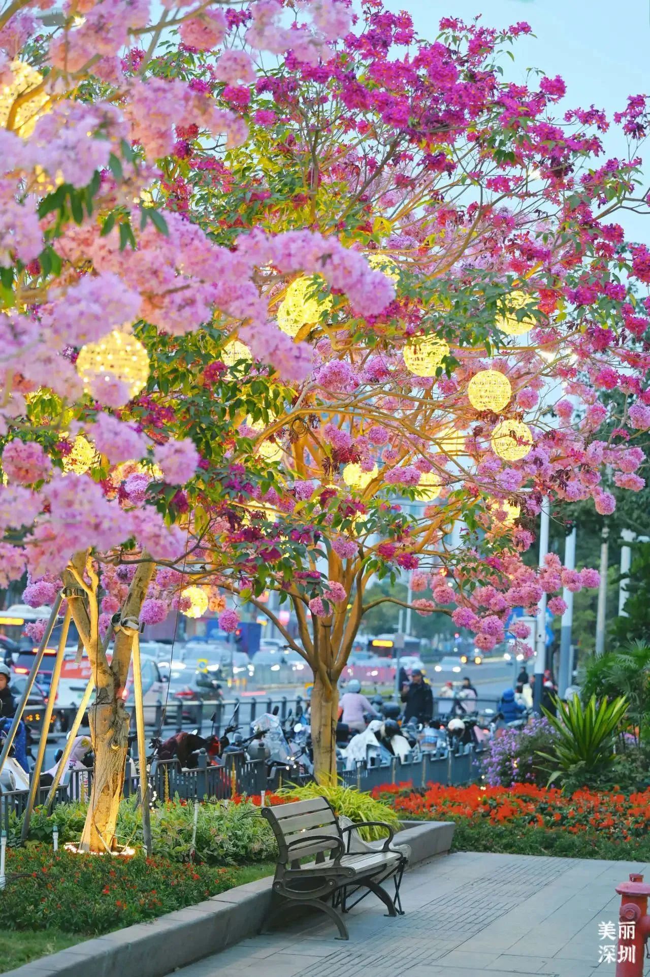 深圳，你有空就能来的城市