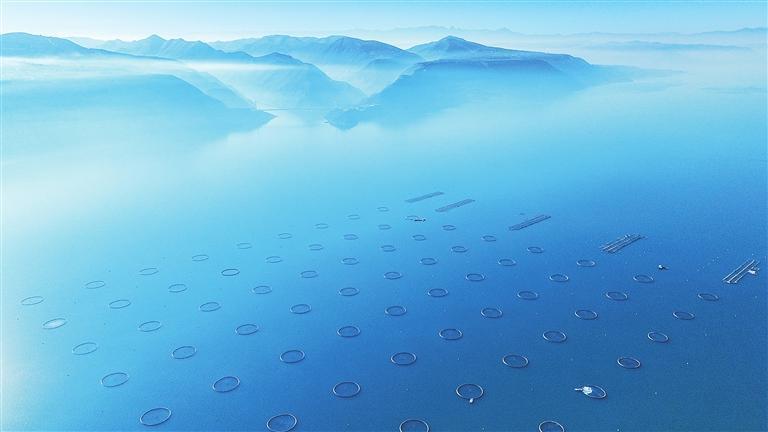 刘家峡库区虹鳟鱼养殖场